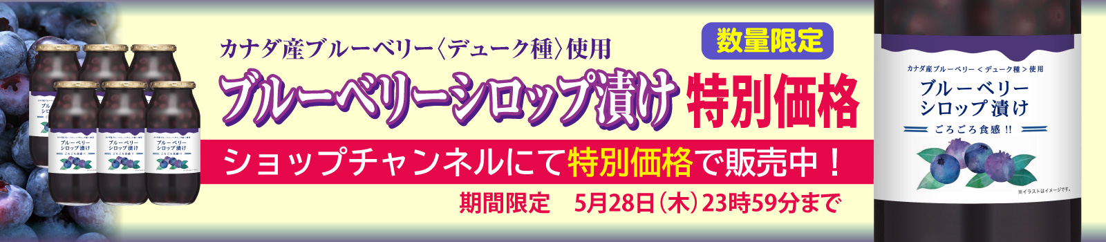 ブルーベリーシロップ特別価格