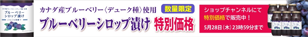 ブルーベリーシロップ特別価格