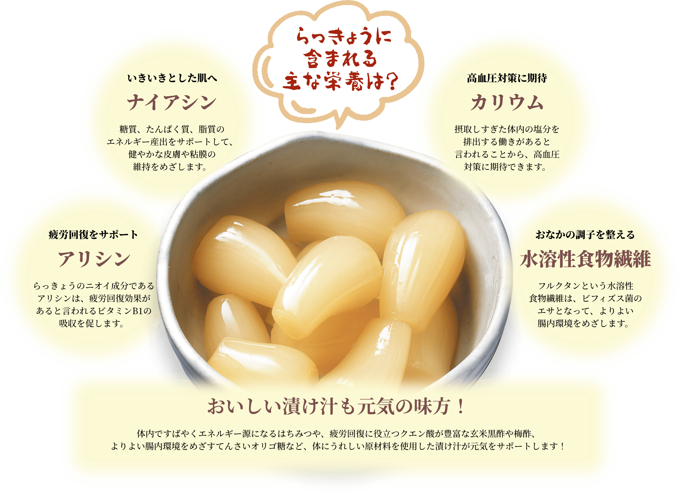 らっきょうに含まれる主な栄養素は?